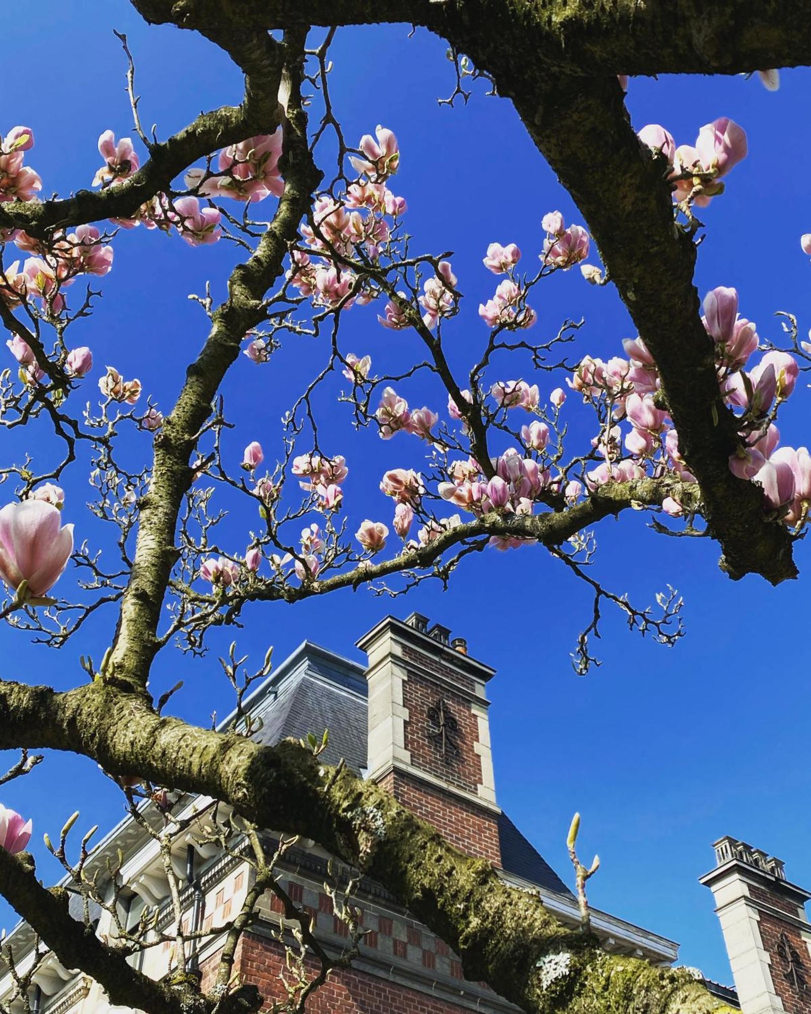 La Villa Barbieux Roubaix Bagian luar foto